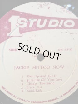 画像1: JACKIE MITTO . JACKIE MITTO NOW