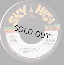 画像1: JOHNNY P & THE MEDITATIONS / PERFECT LOVE