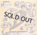 BORIS GARDINER / SOULFUL  EXPERIENCE