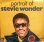 画像1: STEVIE WONDER / PORTRAIT OF STEVIE WONDER (1)