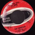 THE SHIRELLES / ARE YOU STILL MY BABY . I SAW A TEAR