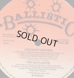 画像3: GAYLADDS / UDERSTANDING