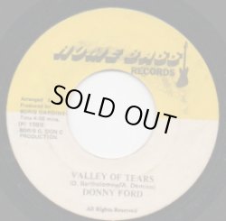 画像1: DANNY FORD / VALLEY OF TEARS