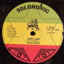 画像3: BUNNY WAILER / JUMP JUMP . DANCE HALL MUSIC
