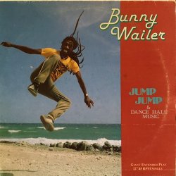 画像1: BUNNY WAILER / JUMP JUMP . DANCE HALL MUSIC