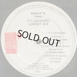 画像3: GARNETT SILK / IT'S GROWING