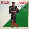 RICK JAMES / FOREVER AND A DAY