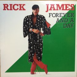 画像1: RICK JAMES / FOREVER AND A DAY