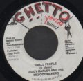 ZIGGY MARLEY & THE MELODY MAKERS / SMALL PEOPLE