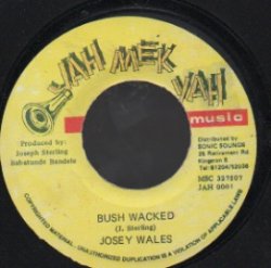 画像1: JOSEY WALES / BUSH WACKED