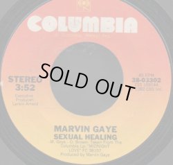 画像1: MARVIN GAYE / SEXUAL HEALING