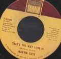 MARVIN GAYE / THAT'S THE WAY LOVE IS . GONNA KEEP ON TRYIN' TILL I WIN YOUR LOVE