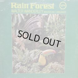 画像1: WALTER WANDERLEY / RAIN FOREST