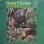 画像1: WALTER WANDERLEY / RAIN FOREST (1)