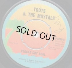 画像1: TOOTS & THE MAYTALS / REGGAE GOT SOUL . DOG WAR