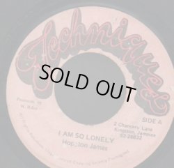 画像1: HOPETON JAMES / I AM SO LONELY