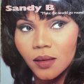 SANDY B / MAKE THE WORLD GO ROUND