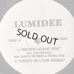 画像1: LUMIDEE feat BUSTA RHYMES & FABOLOUS  / NEVER LEAVE YOU 