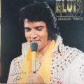 ELVIS / A CANADIAN TRIBUTE