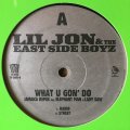 LIL JON & THE EAST SIDE BOYZ / WHAT U GUN' DO REMIXES