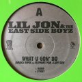 LIL JON & THE EAST SIDE BOYZ / WHAT U GUN' DO REMIXES