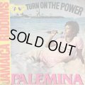 PALEMINA / TURN ON THE POWER