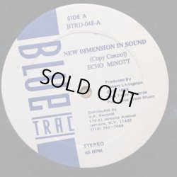 画像1: ECHO MINOTT . NEW DIMENSION SOUND / WAYNE FIRE WOMAN PENSION