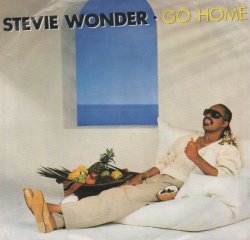 画像1: STEVIE WONDER / GO HOME