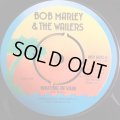 BOB MARLEY & THE WAILERS / WAITING IN VAIN / ROOTS