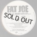 FAT JOE / MAKE IT RAIN