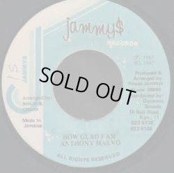画像1: ANTHONY MALVO / HOW GLAD I AM