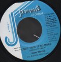 JOSEY WAYLES / CAN'T TECK IT NO MORE