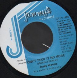 画像1: JOSEY WAYLES / CAN'T TECK IT NO MORE