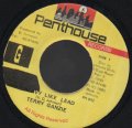 TERRY GANZIE / HEAVY LIKE LEAD