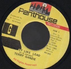 画像1: TERRY GANZIE / HEAVY LIKE LEAD