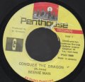 BEENIE MAN / CONQUER THE DRAGON