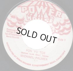 画像1: MICHAEL PALMER / PON YU TOE