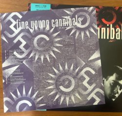 画像5: FINE YOUNG CANNIBALS / FINE YOUNG CANNIBALS