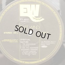 画像3: Masahiko Togashi / SPIRITUAL NATURE  スピリチュアル・ネイチャー 冨樫雅彦