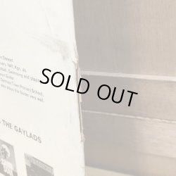 画像5: THE GAYLADS / Sunshine is Golden