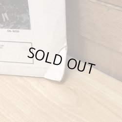 画像4: THE GAYLADS / Sunshine is Golden