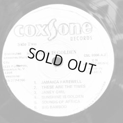 画像7: THE GAYLADS / Sunshine is Golden