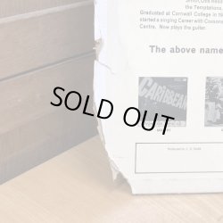 画像3: THE GAYLADS / Sunshine is Golden