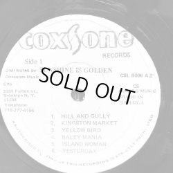 画像6: THE GAYLADS / Sunshine is Golden