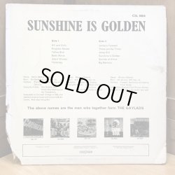 画像2: THE GAYLADS / Sunshine is Golden