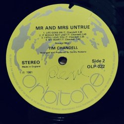 画像5: TIM CHANDELL / Mr & Mrs Untrue