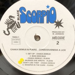 画像4: CHAKA DEMUS & PLIERS / CONSCIOUSNESS A LICK