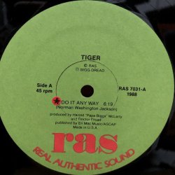 画像2: TIGER / DO IT ANY WAY　12"EP