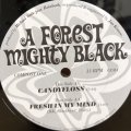 A FOREST MIGHTY BLACK / CANDYFLOSS b/w FRESH IN MY MIND  12"E.P.