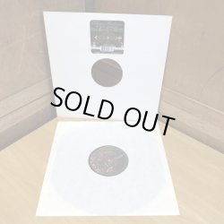 画像3: Burnt Friedman & Jaki Liebezeit / Out In The Sticks featuring DAVID SYLVIAN